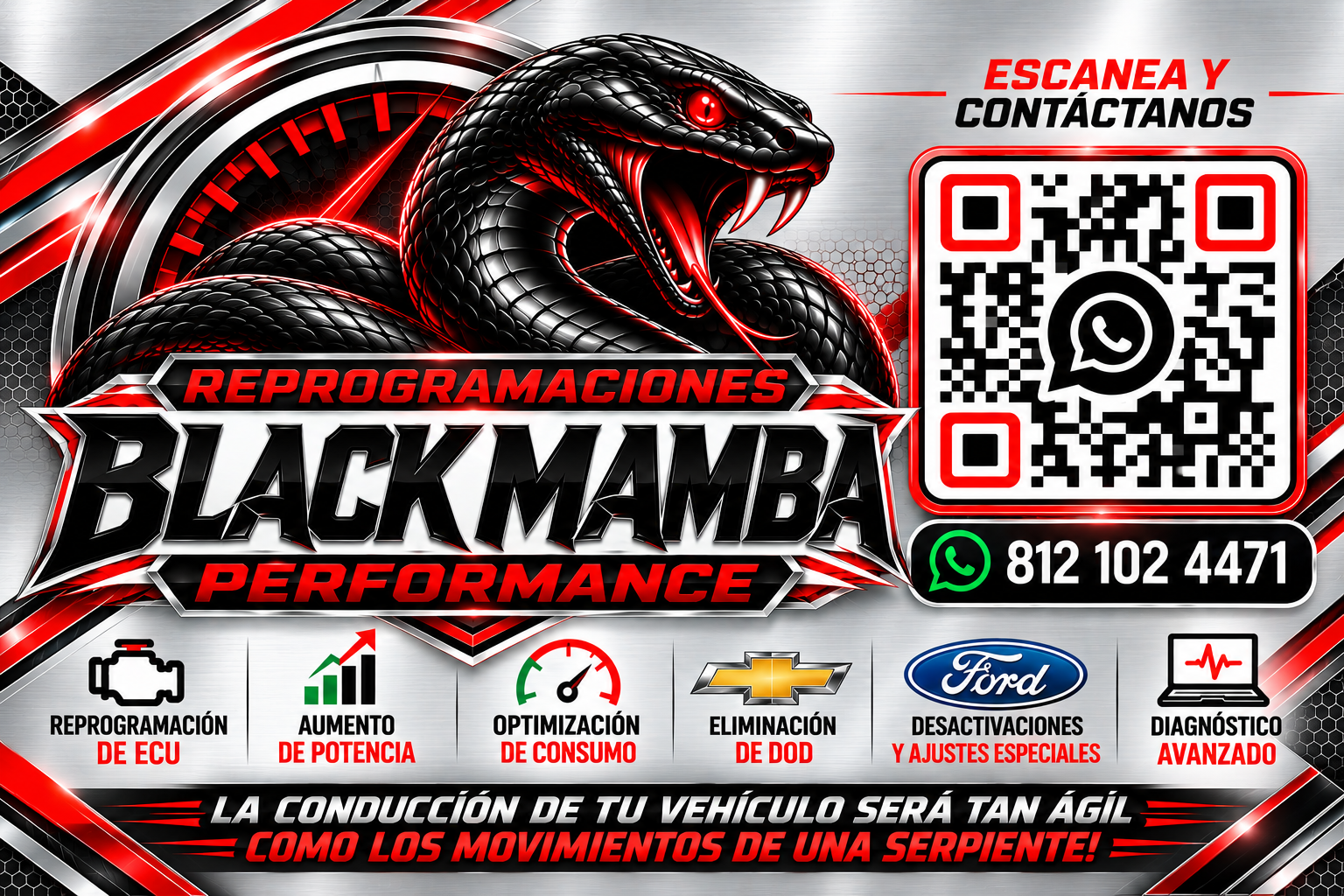 Black Mamba Performance: serpiente negra de ojos rojos, servicios de reprogramación y contacto